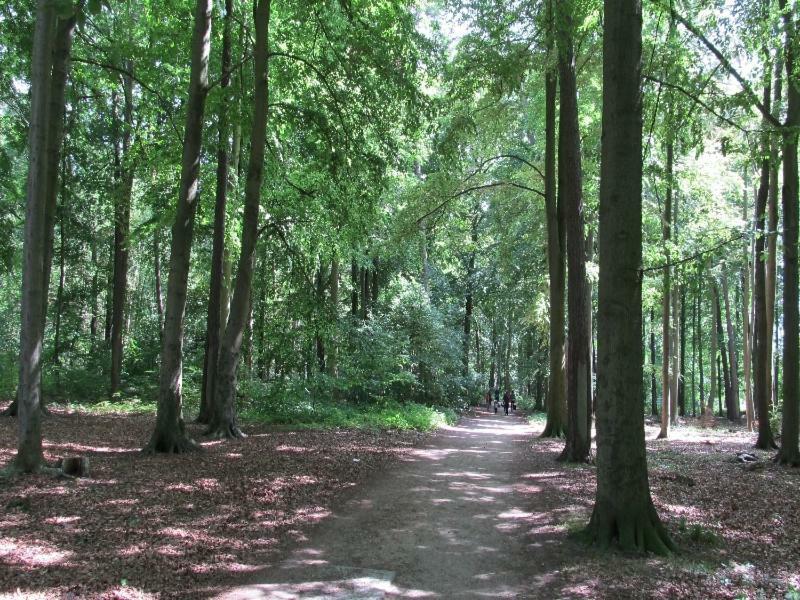 “Haus am Küstenwald” Ferienwohnungen Graal-Mueritz Exterior foto
